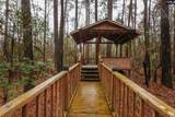 6447 Neeses Highway - Photo 84