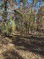 Lot 39 Edisto Lake Road - Photo 8