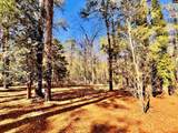 1301 Winterwood Road - Photo 43