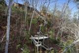 129 Tiger Paw Lane - Photo 43