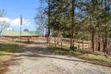 129 Tiger Paw Lane - Photo 46
