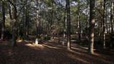 763 Ben Gunn Run - Photo 39