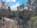 141 Woodstork Way - Photo 45
