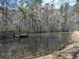 141 Woodstork Way - Photo 48