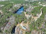 141 Woodstork Way - Photo 49