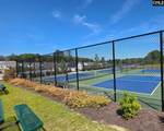 442 Edith Court - Photo 46