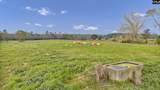 8347 St. Lukes Church Road - Photo 15