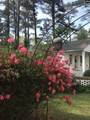 2411 Springdale Drive - Photo 98