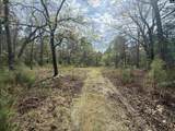 129 Treemount Lane - Photo 1