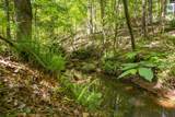 102 Warner Woods Road - Photo 40