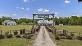 5474 Sc Highway 23 - Photo 2