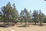 6227 Hollow Creek Road - Photo 31