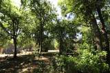 6227 Hollow Creek Road - Photo 44