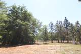 6227 Hollow Creek Road - Photo 45