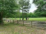 1141 Crosshill Road - Photo 27