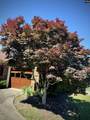 208 Patio Place - Photo 35