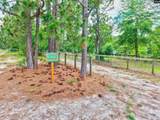 1377 Pine Road - Photo 15