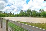 1377 Pine Road - Photo 27