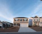 1074 Begonia Drive - Photo 1