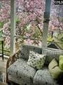 3010 Gervais Street - Photo 33