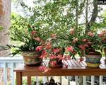 3010 Gervais Street - Photo 6