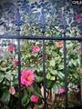3010 Gervais Street - Photo 62