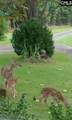 969 Rock N Creek Road - Photo 7