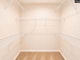 205 Steine Drive - Photo 13