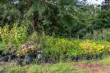 4594 Timrod Road - Photo 10