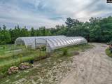 4594 Timrod Road - Photo 11