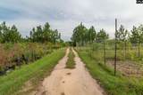 4594 Timrod Road - Photo 29