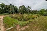 4594 Timrod Road - Photo 31