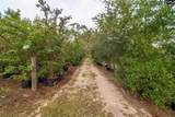 4594 Timrod Road - Photo 34