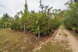 4594 Timrod Road - Photo 35