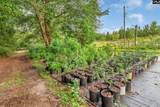 4594 Timrod Road - Photo 48