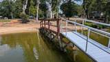 668 Goat Hill Road - Photo 63