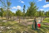 415 Finback Road - Photo 61