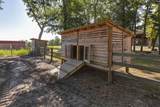 1055 Belo Road - Photo 66