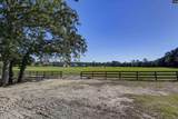 1055 Belo Road - Photo 81