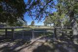 1055 Belo Road - Photo 83