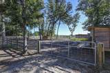1055 Belo Road - Photo 84