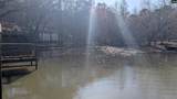 705 Deer Run Road - Photo 40