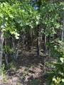 0 Black River Road - Photo 3