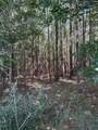 0 Black River Road - Photo 5