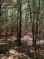 0 Black River Road - Photo 6