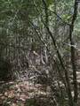 0 Black River Road - Photo 8