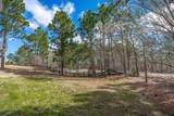 217 Yellow Jasmine Drive - Photo 64