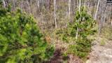 508 Bee Balm - Photo 46