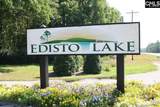 813 Edisto Lake Road - Photo 59