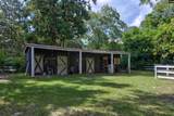 5 Ancrum Road - Photo 9